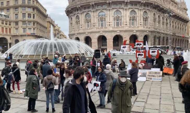 Un centinaio di persone protestano contro l’abbattimento dei cinghiali