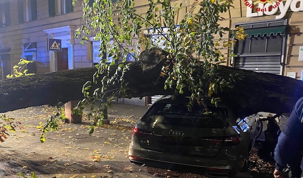 Corso Magenta, grosso albero cade su auto parcheggiata: nessun ferito