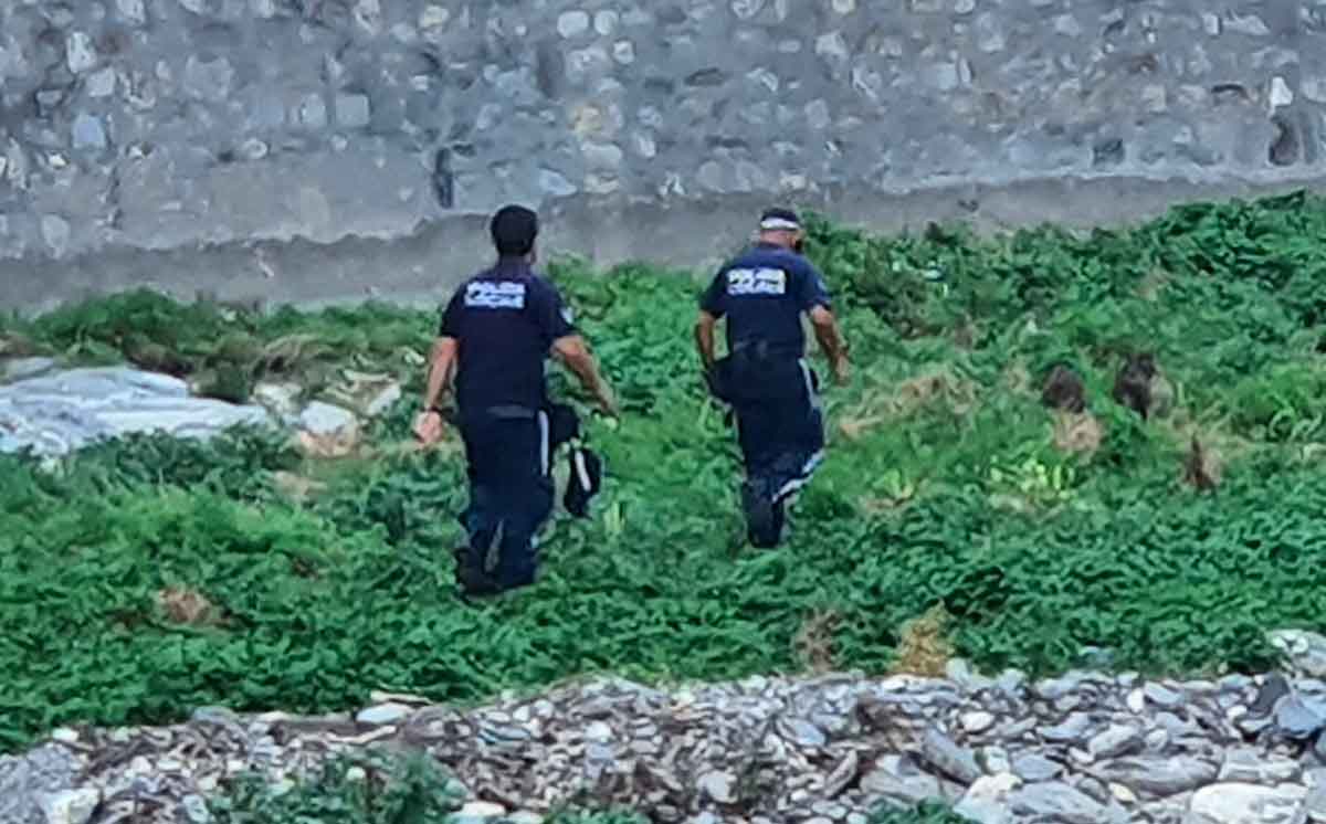 Cinghialetti a Sori, la polizia locale li accompagna nel torrente