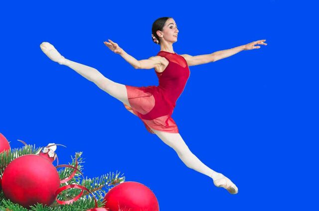 Sotto l’albero della Fondazione Fordance, borse di studio al talento