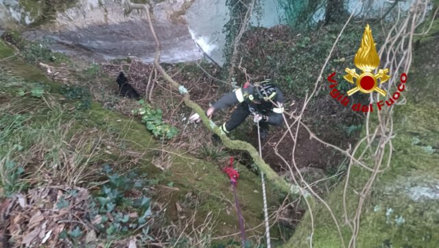 Cane finisce in una scarpata ai laghetti di Nervi: salvata dai VVF