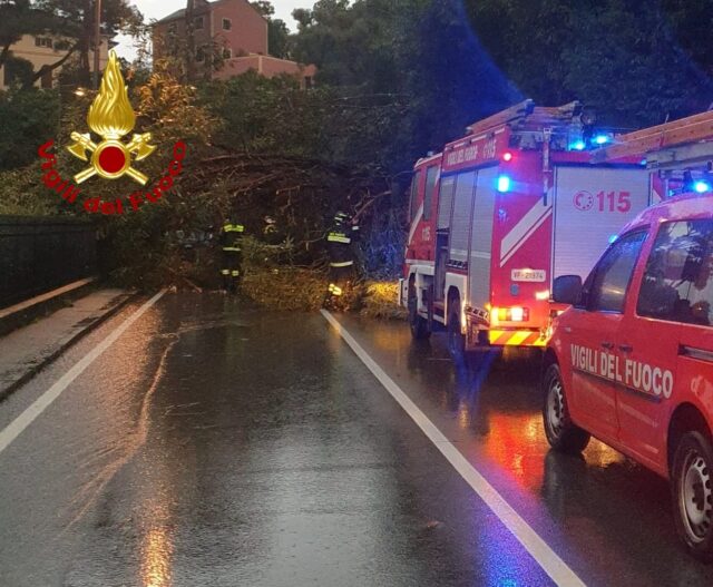 Temporale improvviso e raffiche di vento notturne a Genova