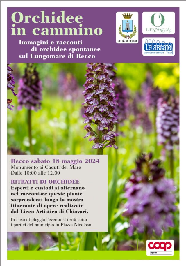 Recco, immagini e racconti di orchidee spontanee sul Lungomare