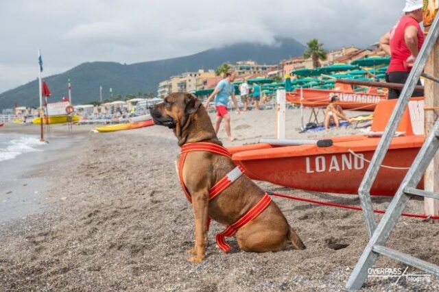 Nuovo appuntamento con Galleggiando & Bolleggiando a Loano