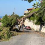 Albero cade in via Piaggio, l’intervento dei vigili del fuoco