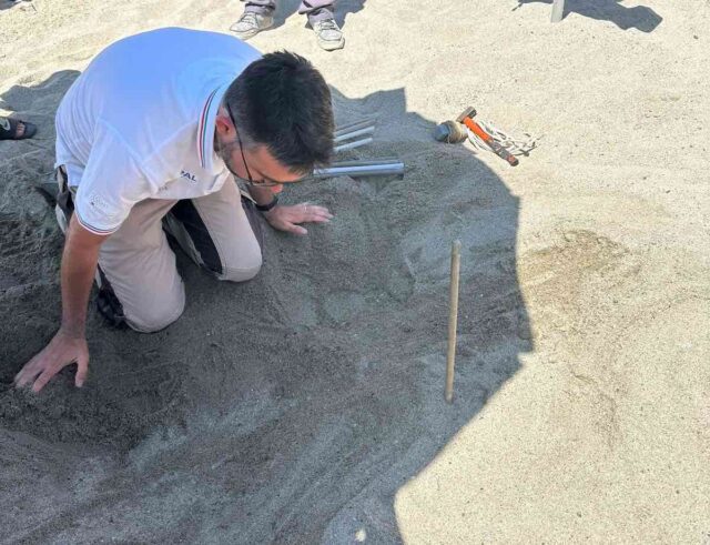 Nuovo nido di caretta caretta a Finale Ligure