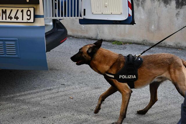 Controlli nel Ponente: 21enne arrestato per spaccio