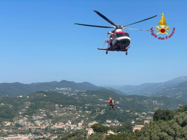 Cogorno, Raccoglie frutta e cade da albero: soccorso con l’elicottero