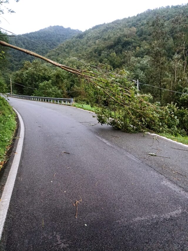 Genova, forte vento sul territorio