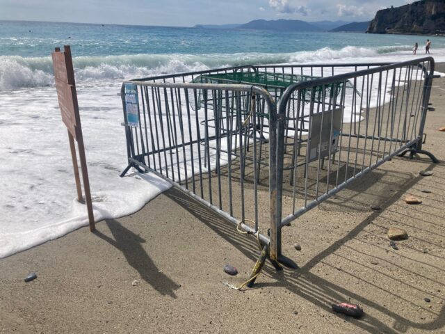 La situazione nei nidi di tartaruga nelle spiagge del Ponente ligure per le mareggiate