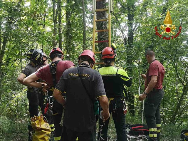 Pilota di parapendio bloccata su un albero a 20 metri