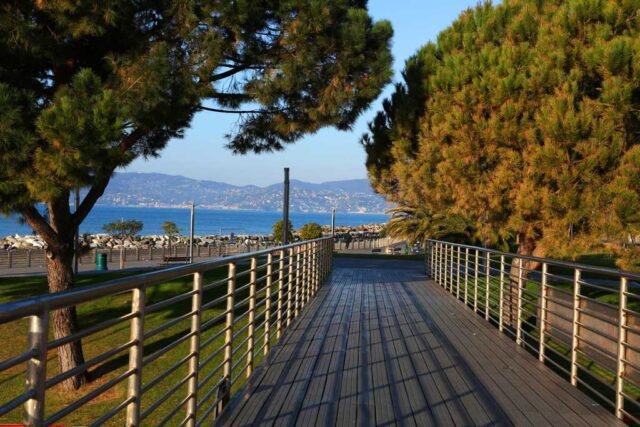 Camminata tra gli olivi, a Chiavari