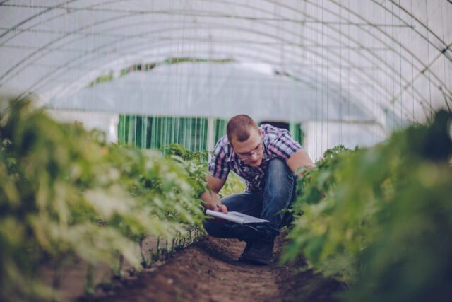 Certificazione agroalimentare: Agroqualità diventa RINA Agrifood