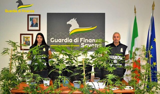 Savona, piantagione di marijuana in casa: 54enne denunciato