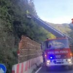 Mezzanego, albero pericolante rimosso dai vigili del fuoco