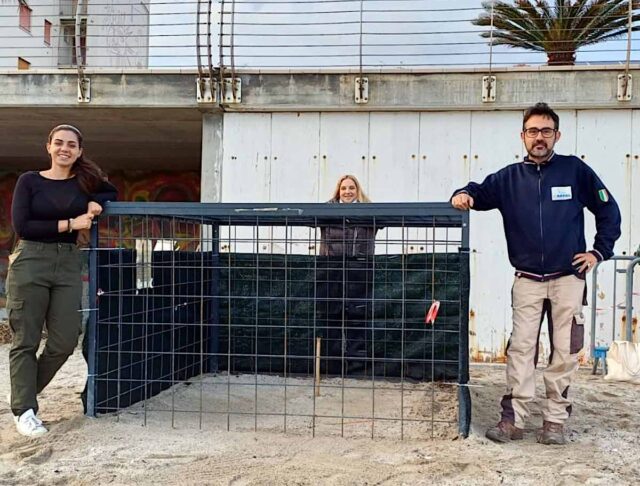 Pietra Ligure: attesa per la schiusa delle uova di tartaruga al nido di Iguana Beach