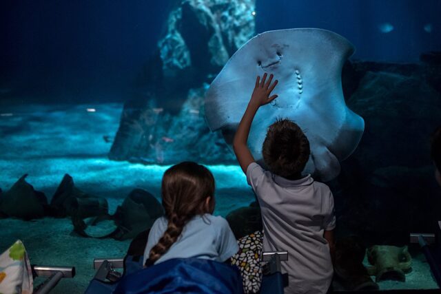 Natale e Capodanno all’Acquario Village di Genova