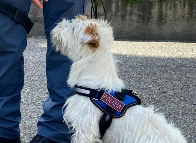 Controlli ai giardini della Fiumara: un arrestato e due denunciati