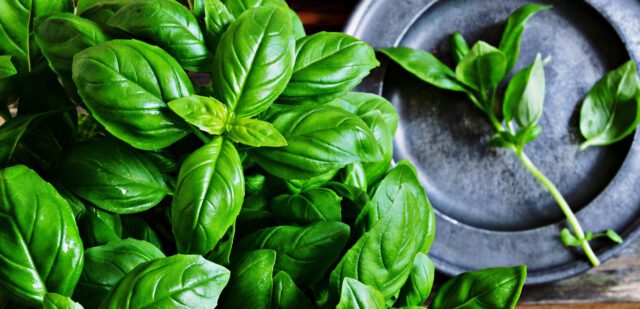 Il pesto genovese conquista la Francia, vice presidente Liguria Alessandro Piana è patrimonio gastronomico di inestimabile valore