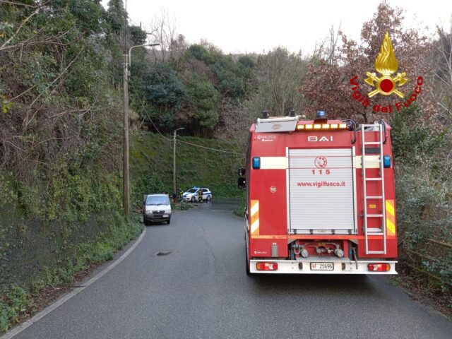 Caduti massi in via Fornace del Garbo: nessuna persona coinvolta